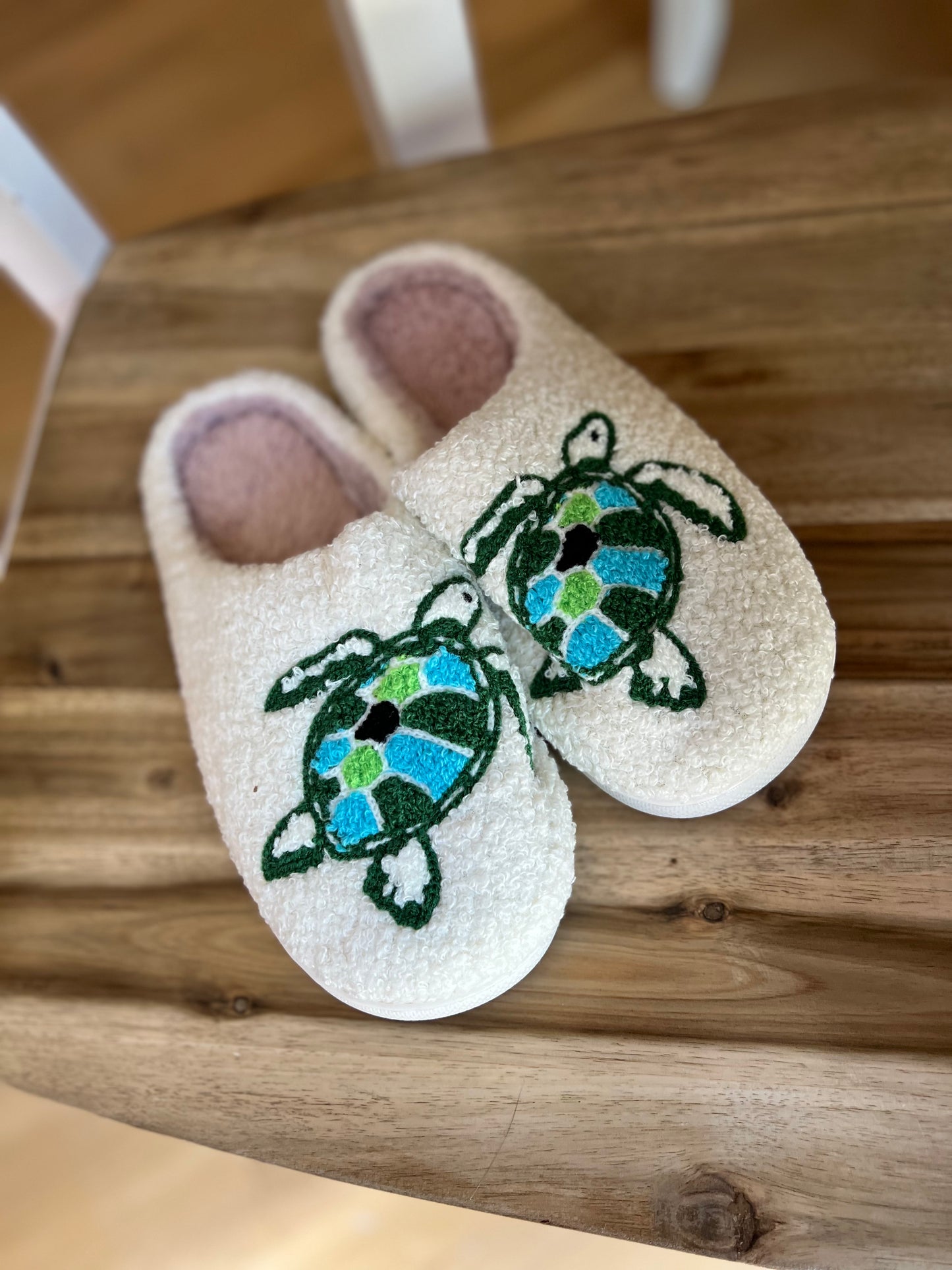 Turtle Slipper