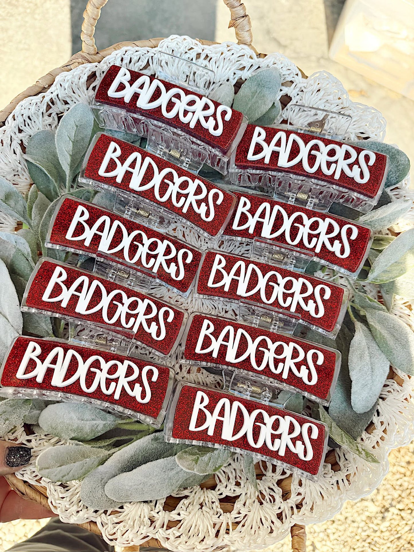 Badger Clip